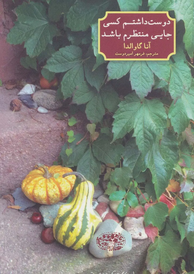 جلد کتاب دوست داشتم کسی جایی منتظرم باشد اثر انا گاوالدا
