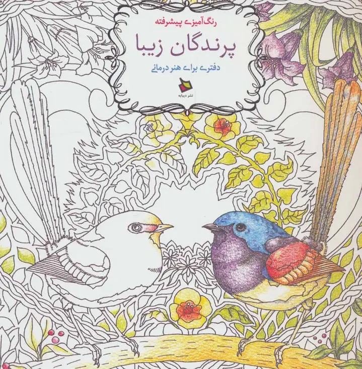 جلد کتاب رنگ آمیزی پیشرفته (پرندگان زیبا)