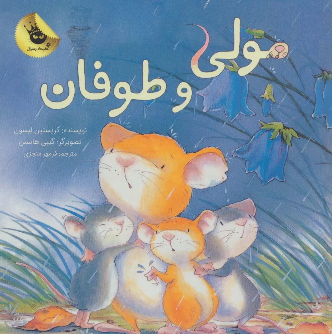 جلد کتاب مولی و طوفان (گلاسه)