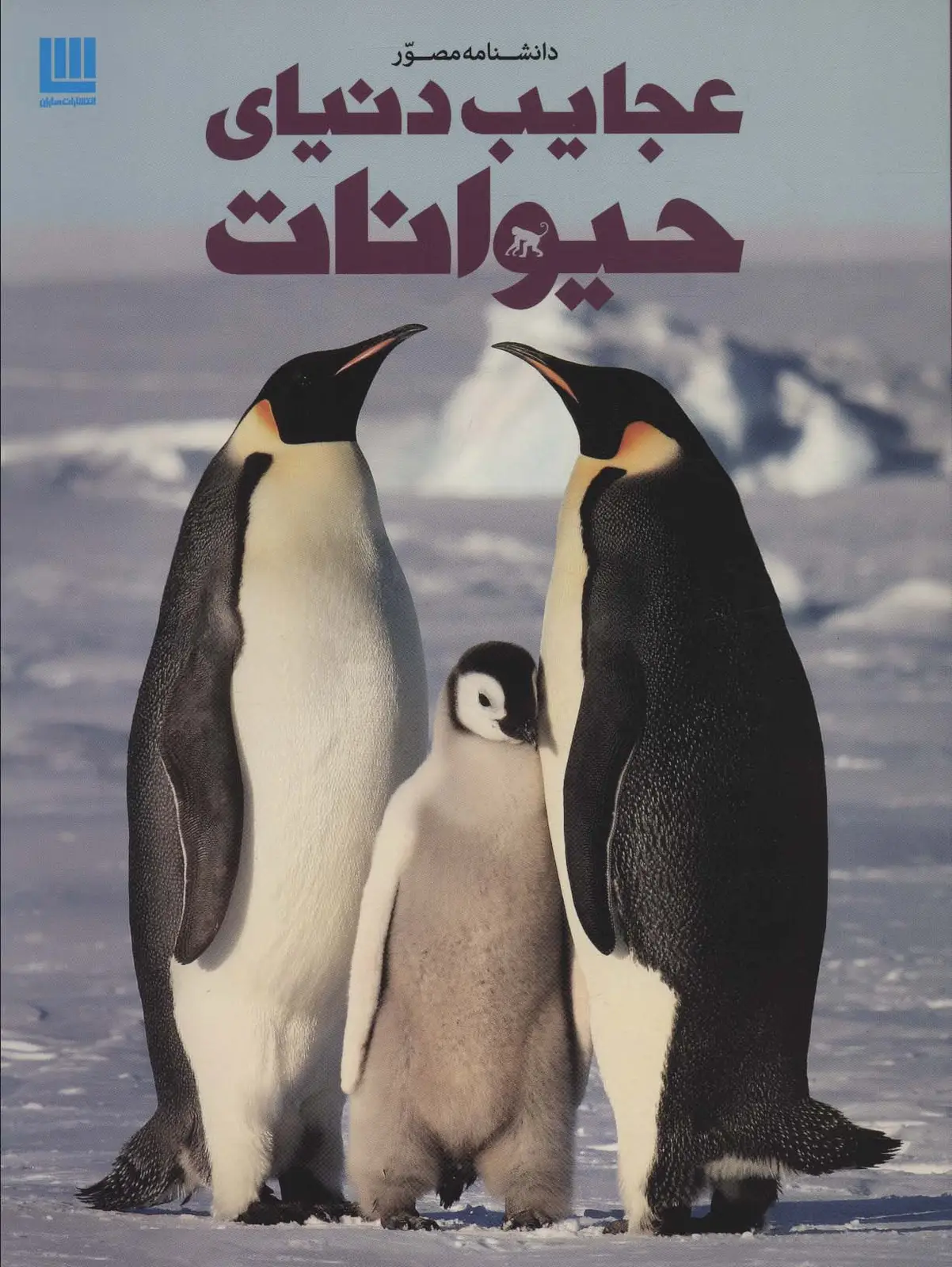جلد کتاب دانشنامه مصور عجایب دنیای حیوانات (گلاسه)