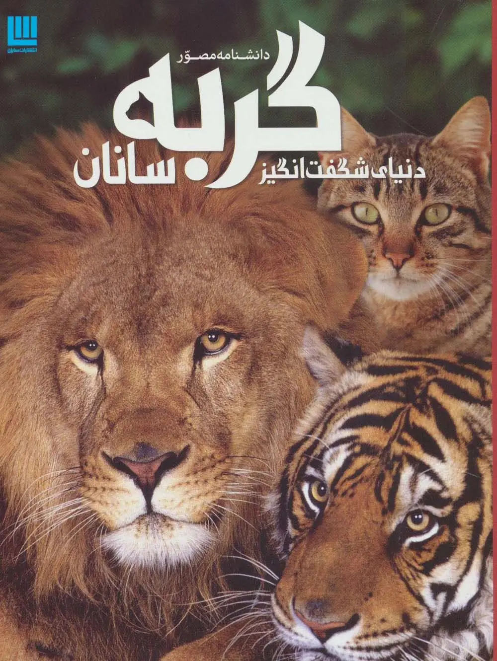 جلد کتاب دانشنامه مصور دنیای شگفت انگیز گربه سانان (گلاسه)