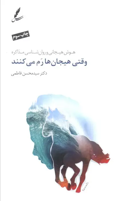 جلد کتاب وقتی هیجان ها رم می کنند (هوش هیجانی و روان شناسی مذاکره)