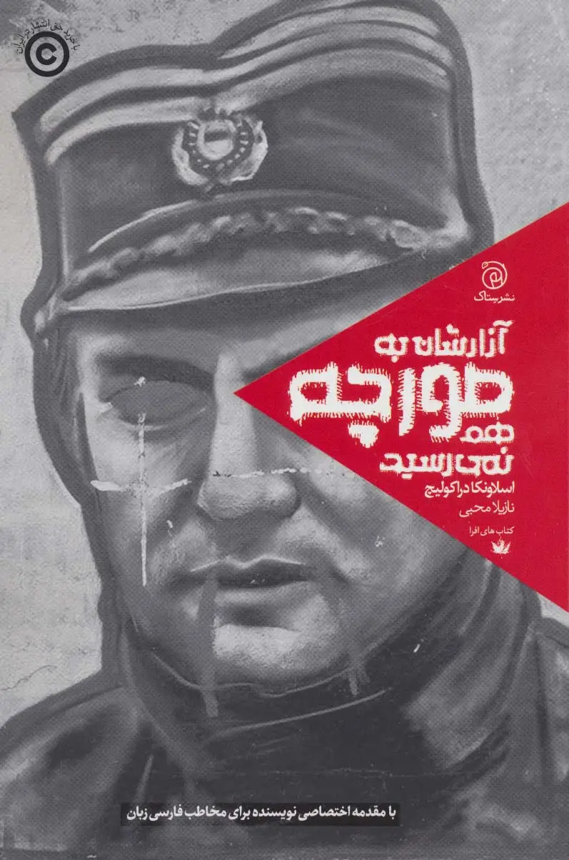 جلد کتاب آزارشان به مورچه هم نمی رسید