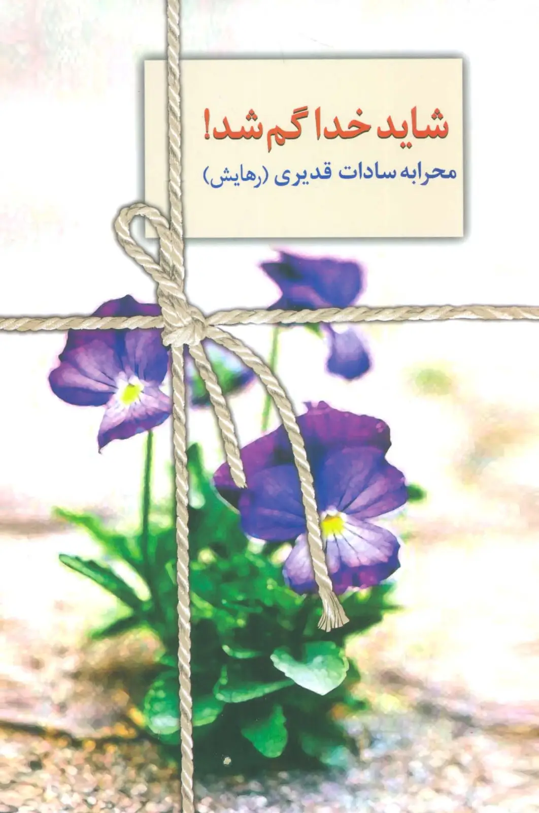 جلد کتاب شاید خدا گم شد!