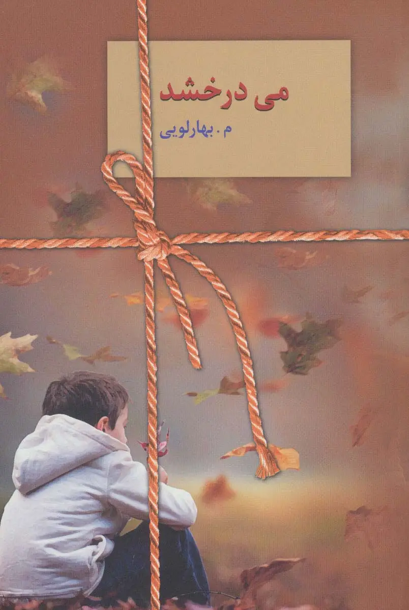 جلد کتاب می درخشد