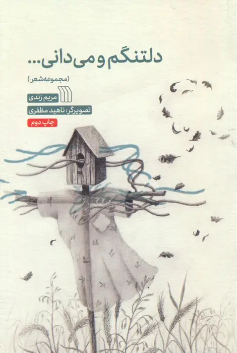جلد کتاب دلتنگم و می دانی...