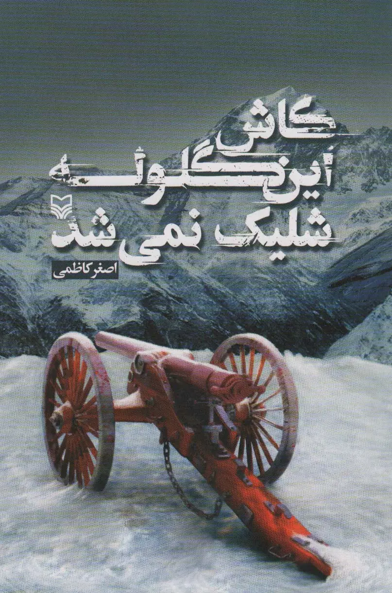 جلد کتاب کاش این گلوله شلیک نمی شد
