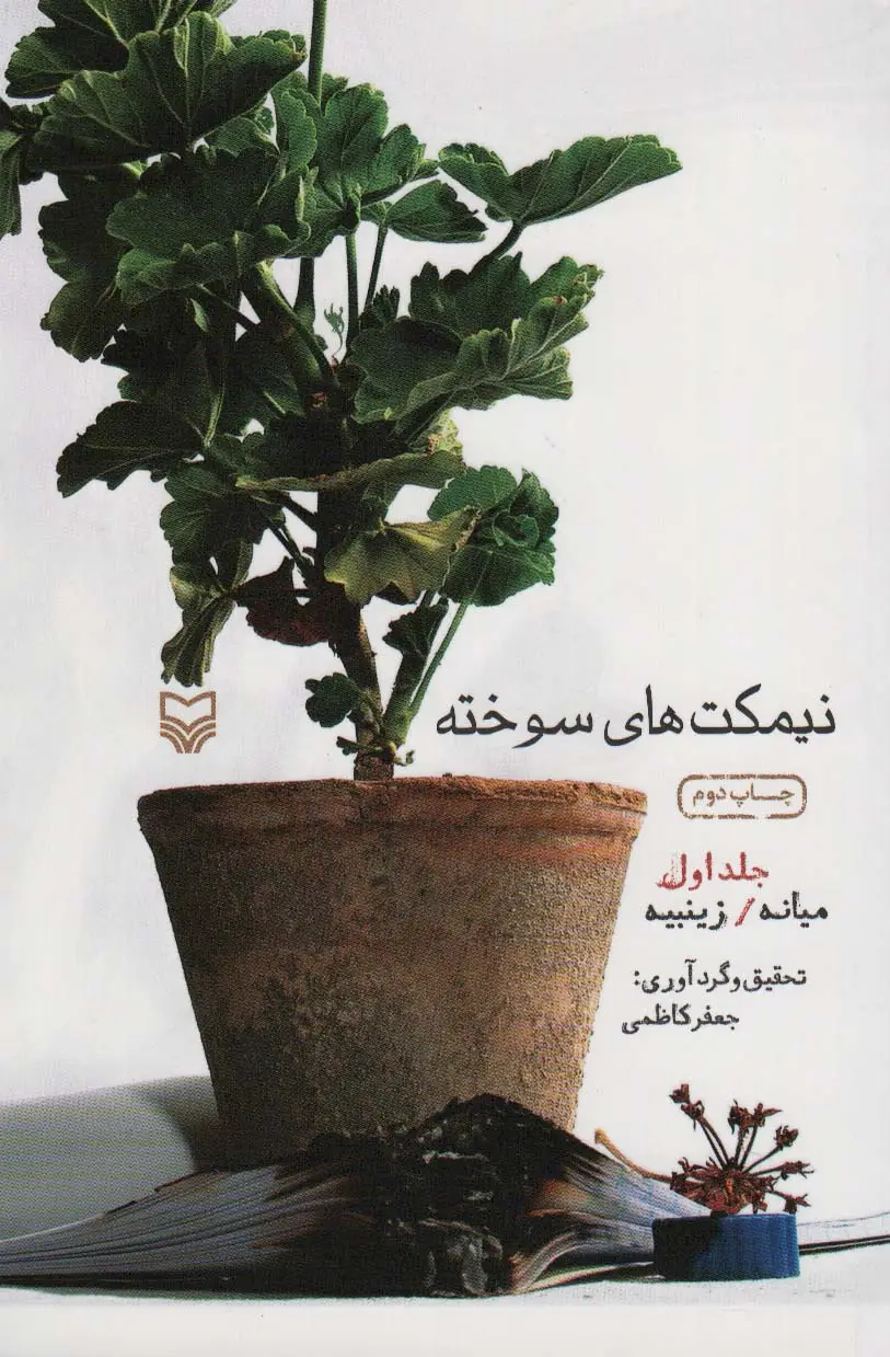 جلد کتاب نیمکت های سوخته 1 (میانه/زینبیه)