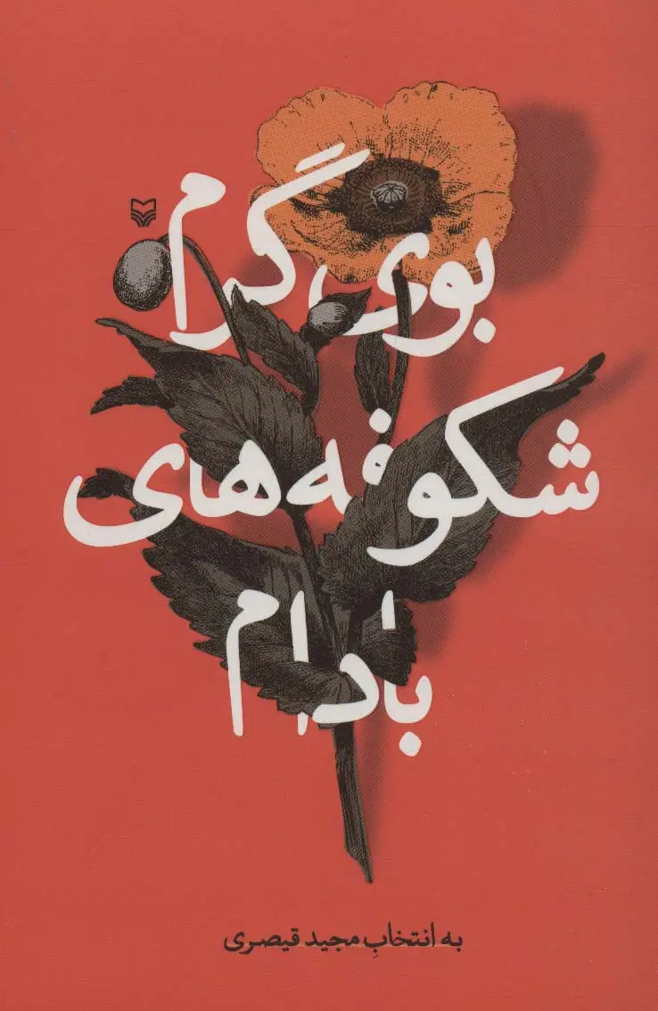 جلد کتاب بوی گرم شکوفه های بادام