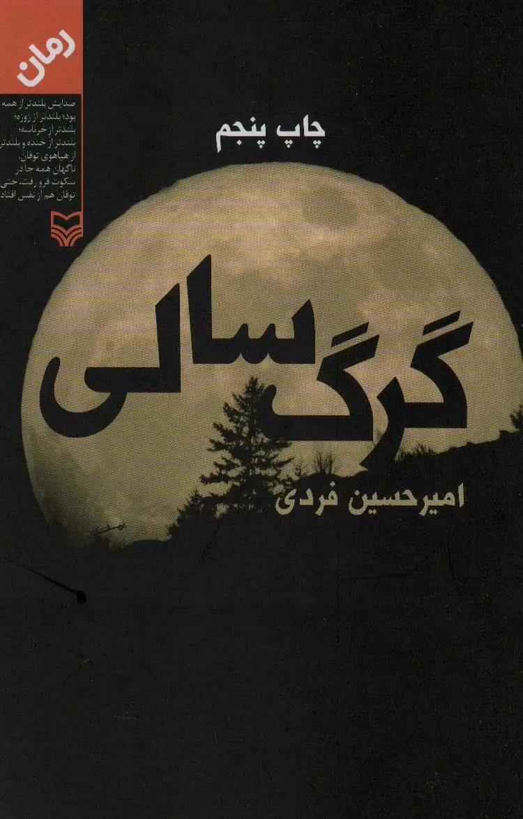جلد کتاب گرگ سالی