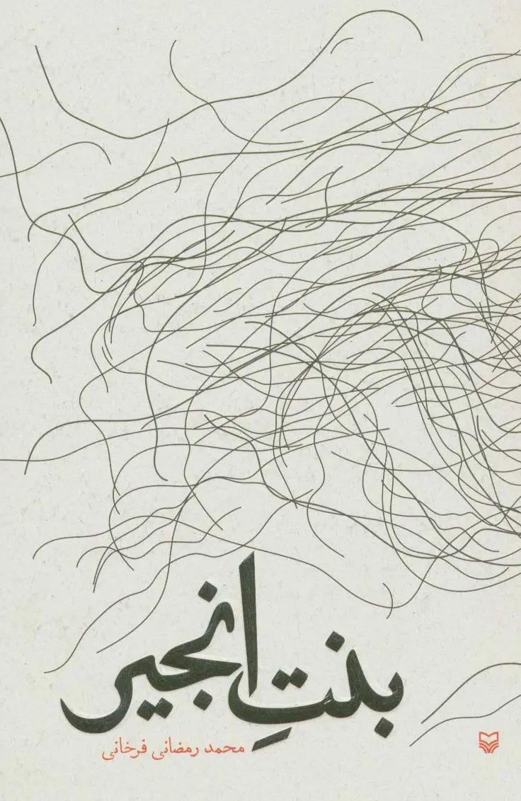 جلد کتاب بنت انجیر
