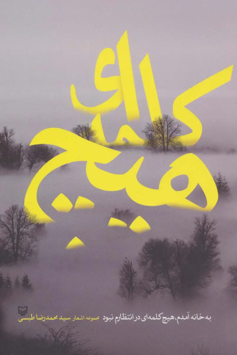 جلد کتاب به خانه آمدم،هیچ کلمه ای در انتظارم نبود