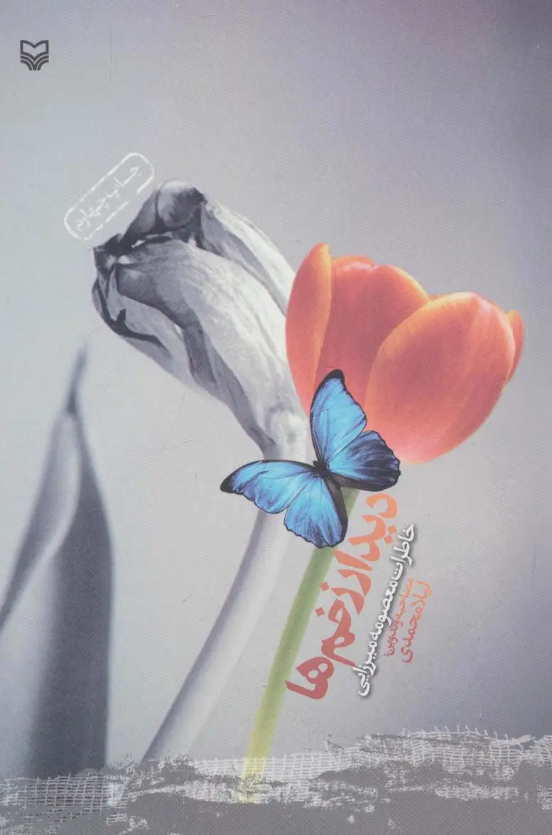 جلد کتاب دیدار زخمها (خاطرات معصومه میرزایی)