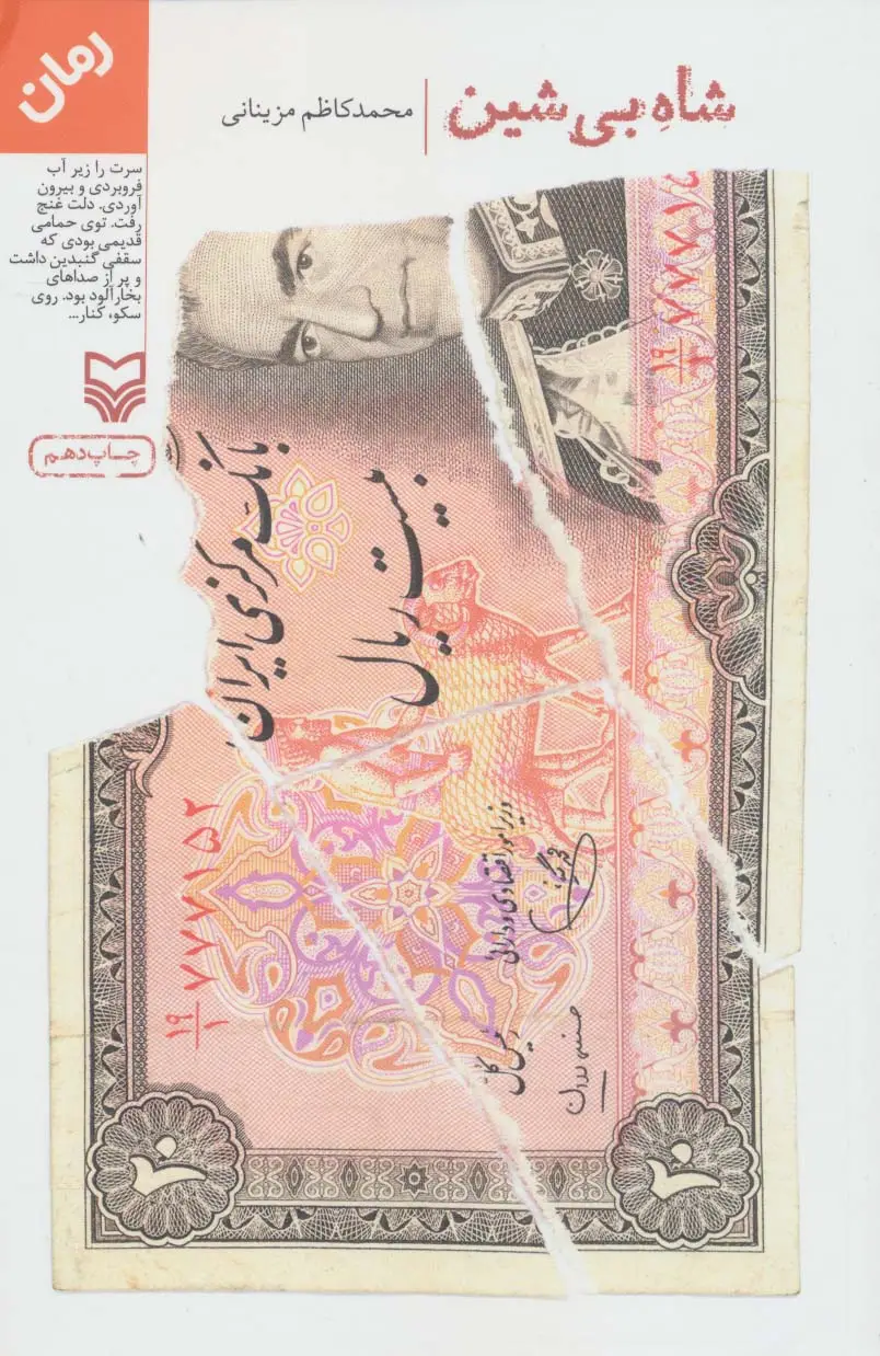 جلد کتاب شاه بی شین