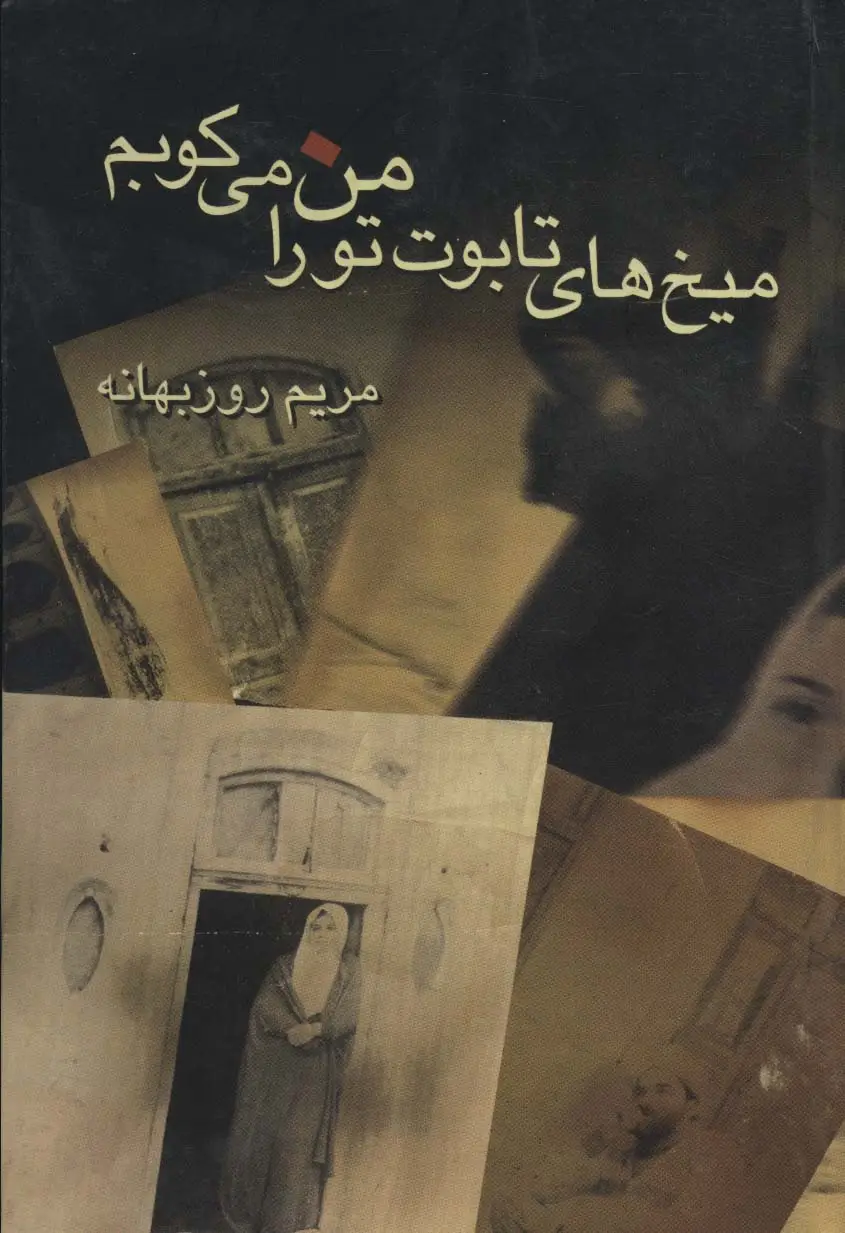 جلد کتاب میخ های تابوت تو را من می کوبم