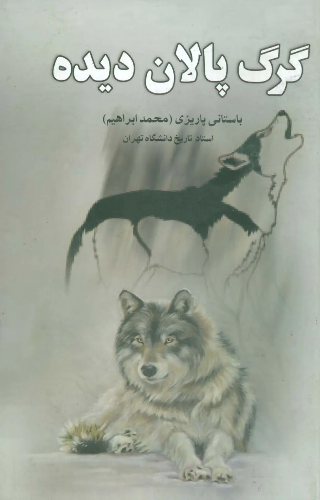 جلد کتاب گرگ پالان دیده