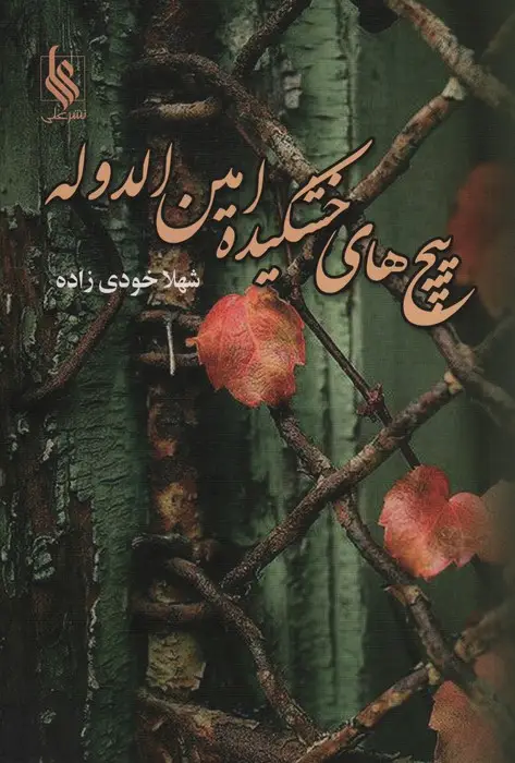 جلد کتاب پیچ های خشکیده امین الدوله