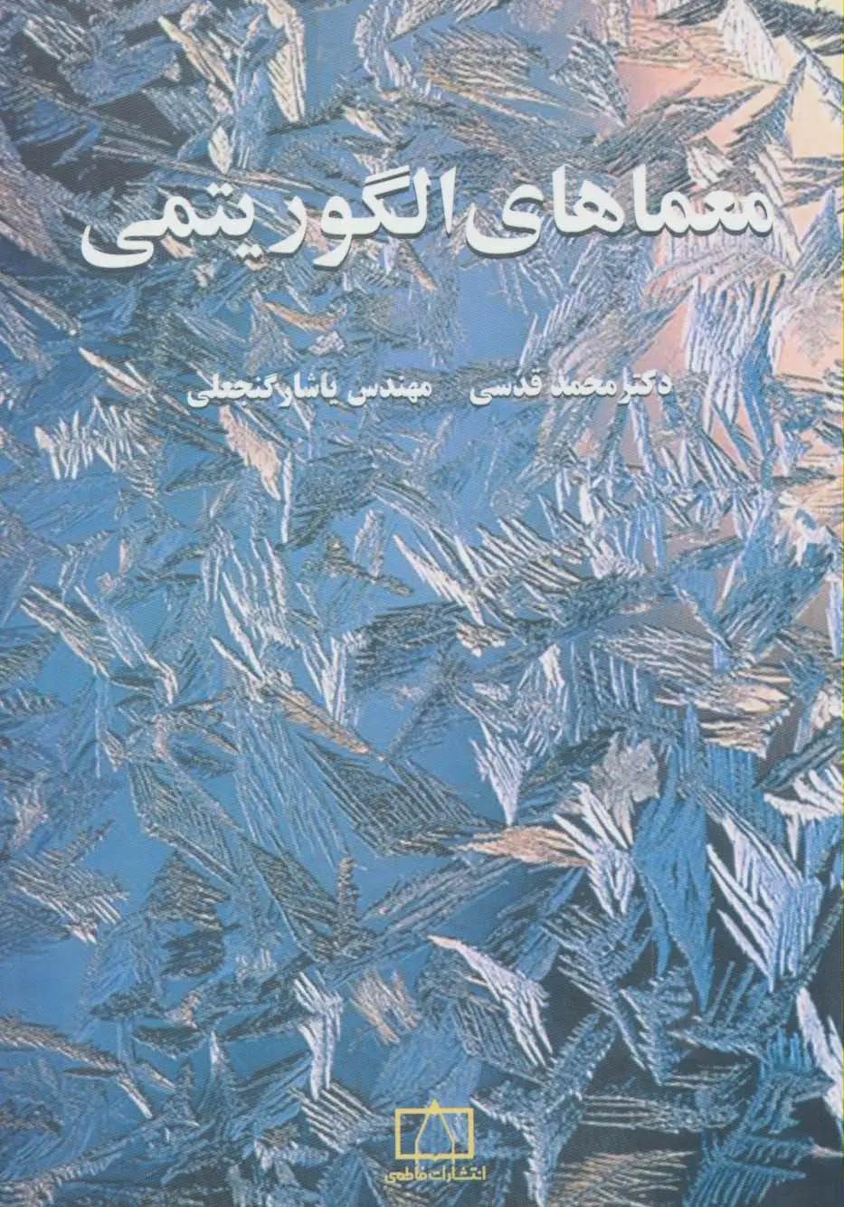 جلد کتاب معماهای الگوریتمی 1