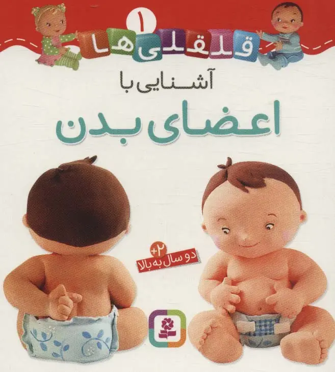 جلد کتاب آشنایی با اعضای بدن (قلقلی ها 1)