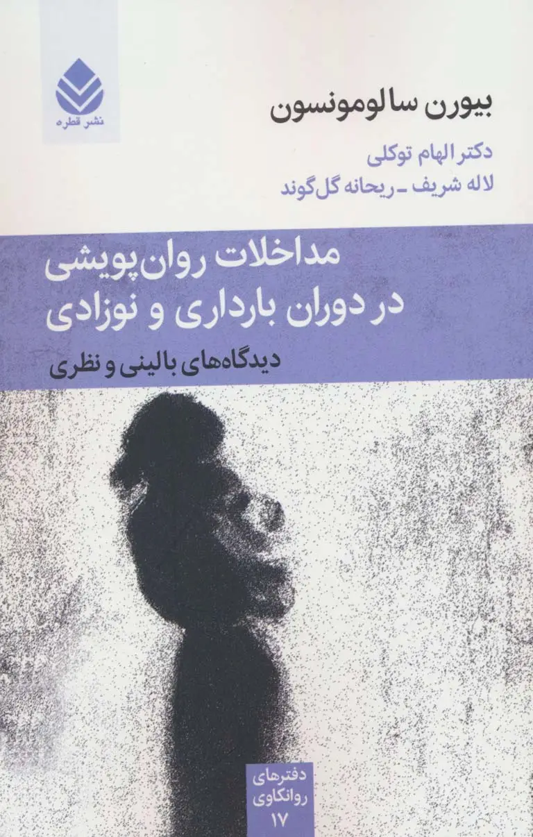 جلد کتاب مداخلات روان پویشی در دوران بارداری و نوزادی (دفترهای روانکاوی17)