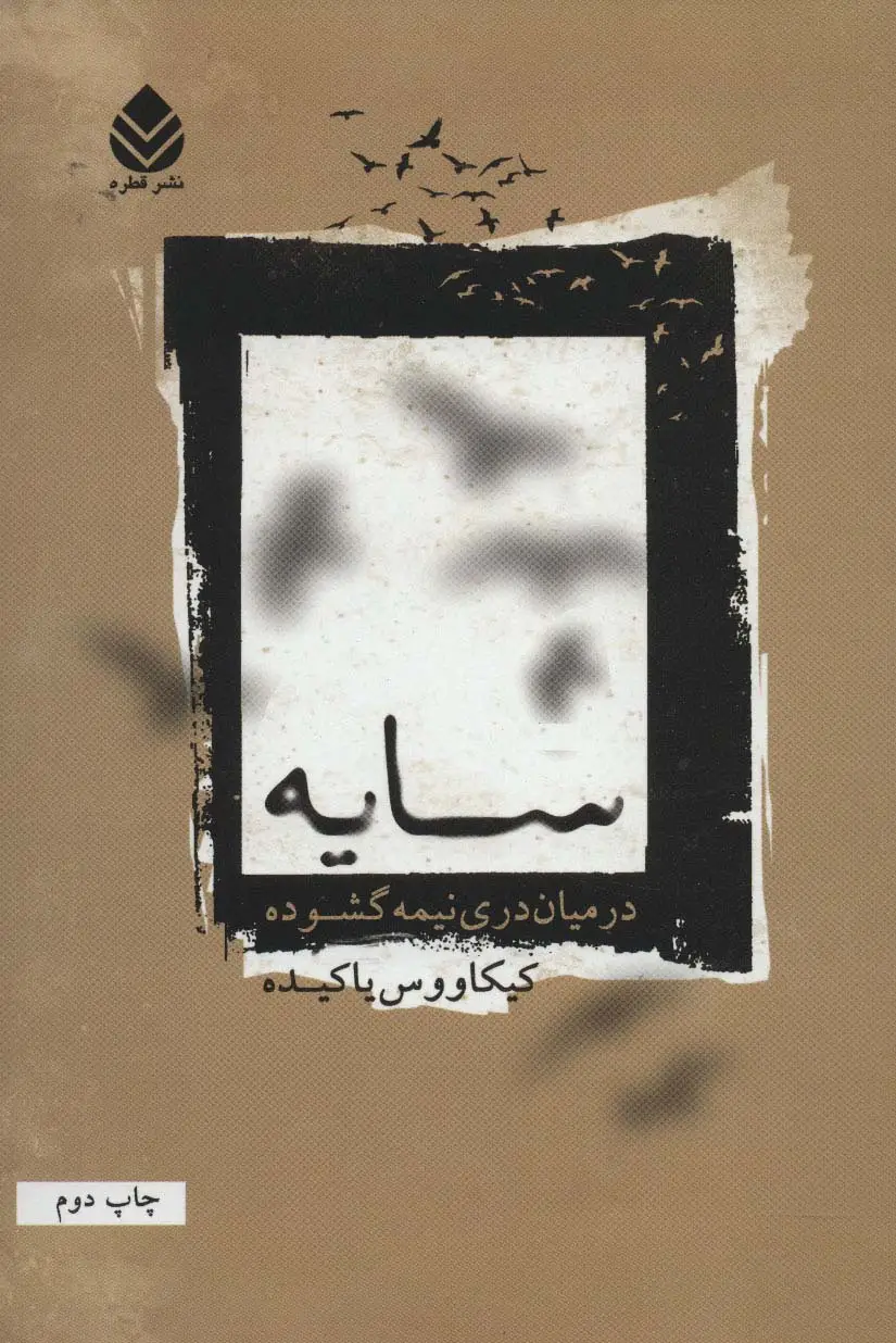 جلد کتاب سایه در میان دری نیمه گشوده