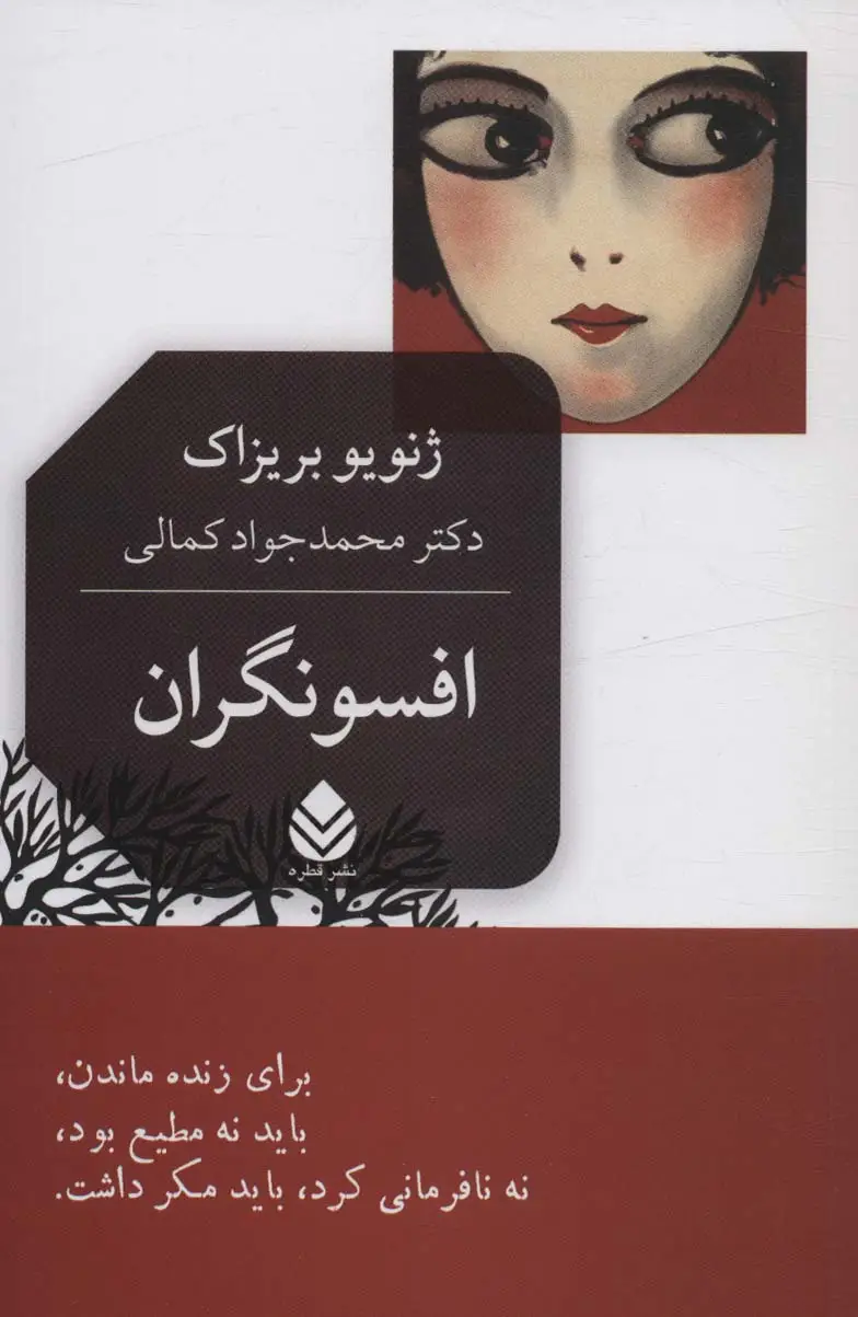 جلد کتاب افسونگران