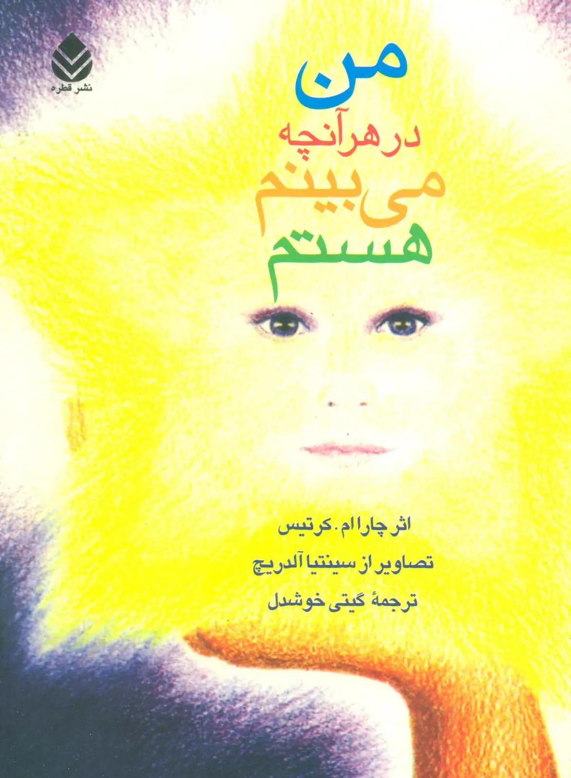 جلد کتاب من در هر آنچه می بینم هستم