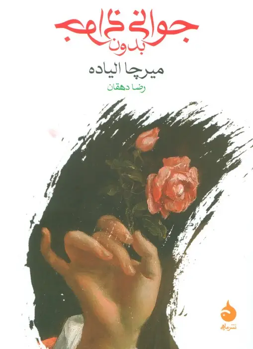 جلد کتاب جوانی بدون جوانی