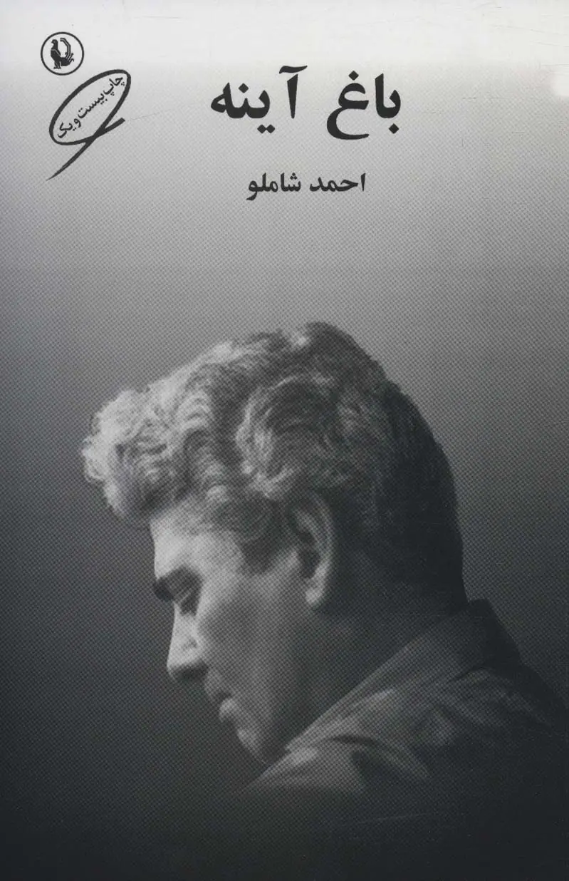 جلد کتاب باغ آینه