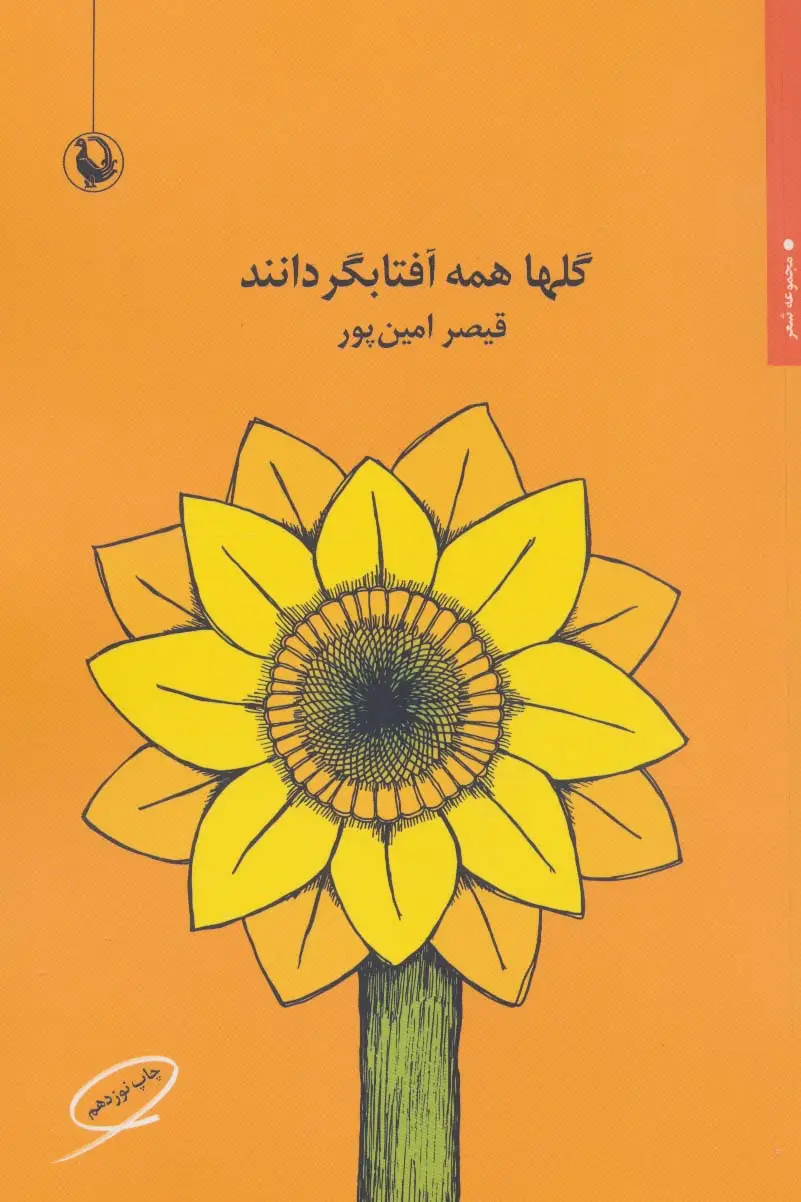 جلد کتاب گلها همه آفتابگردانند
