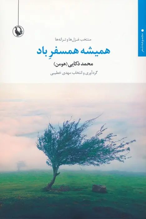 جلد کتاب همیشه همسفر باد