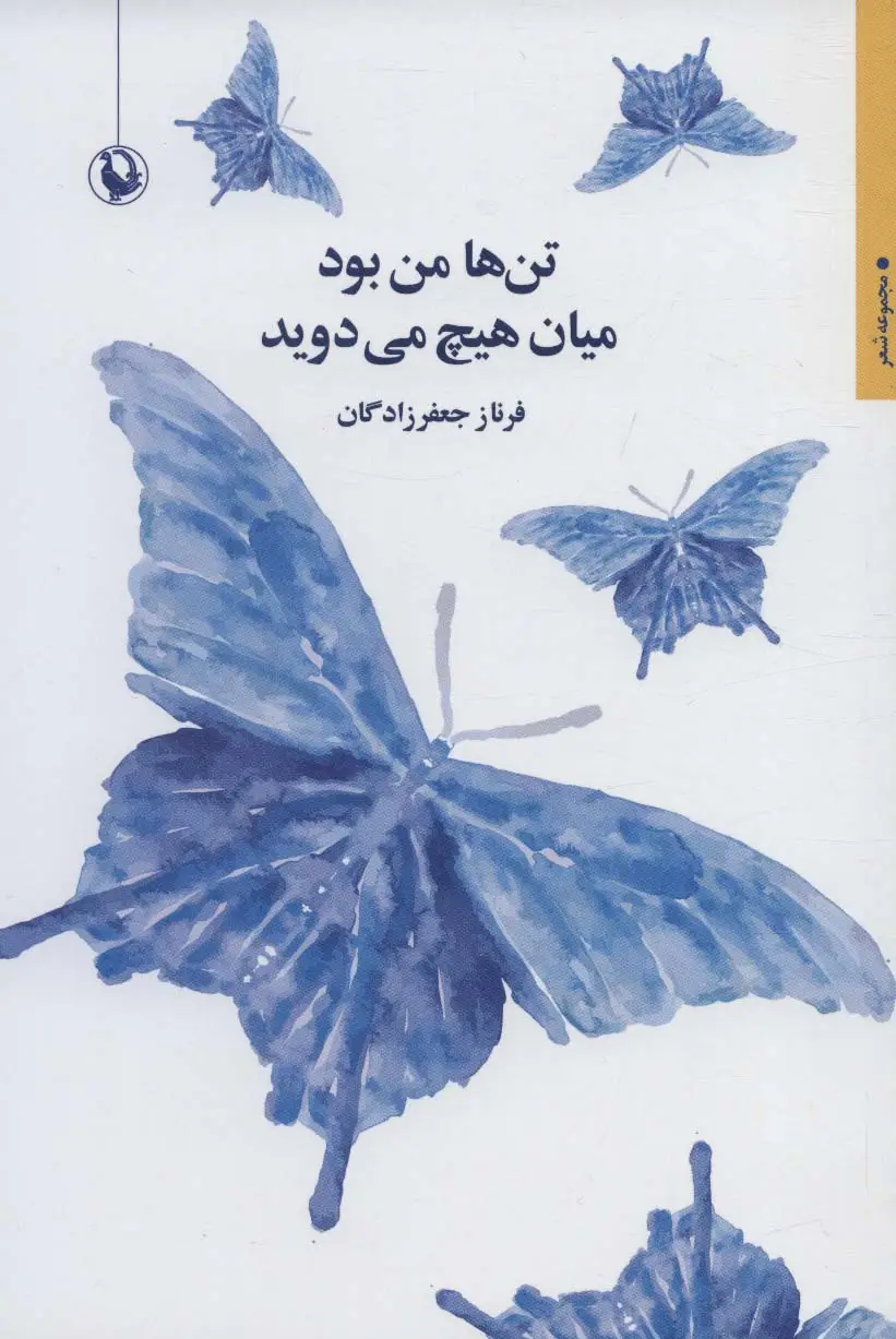 جلد کتاب تن ها من بود میان هیچ می دوید (مجموعه شعر)