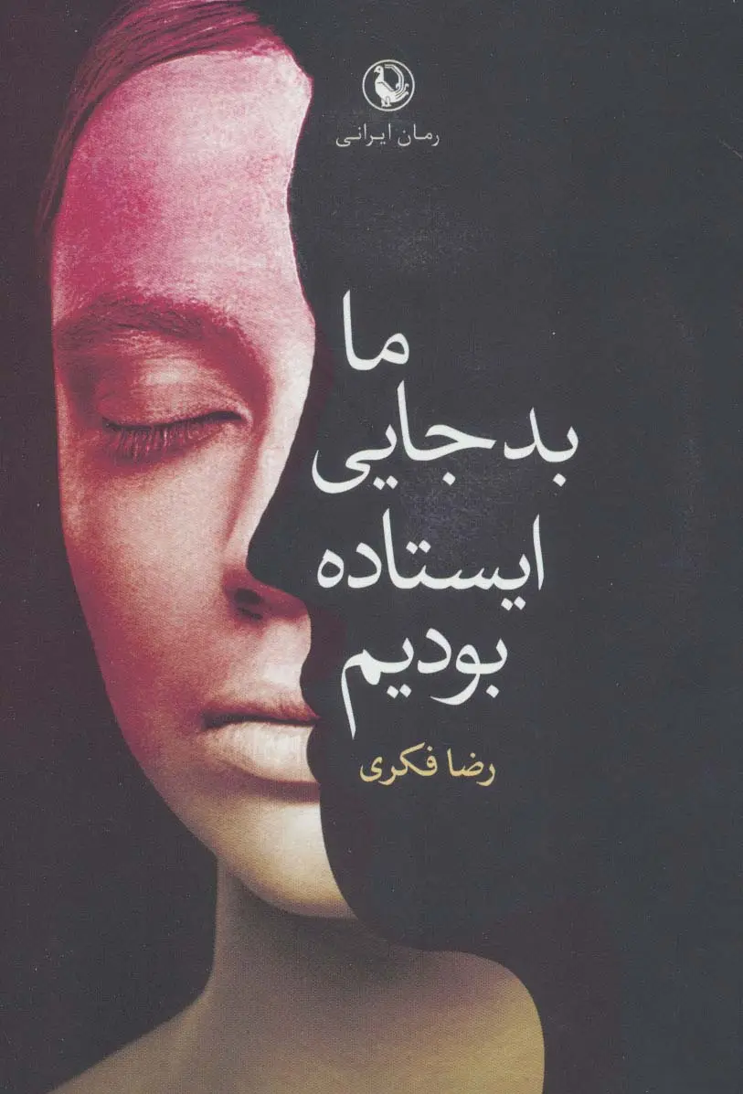 جلد کتاب ما بد جایی ایستاده بودیم