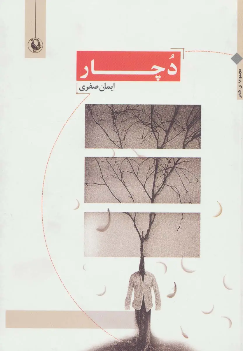 جلد کتاب دچار (مجموعه شعر)