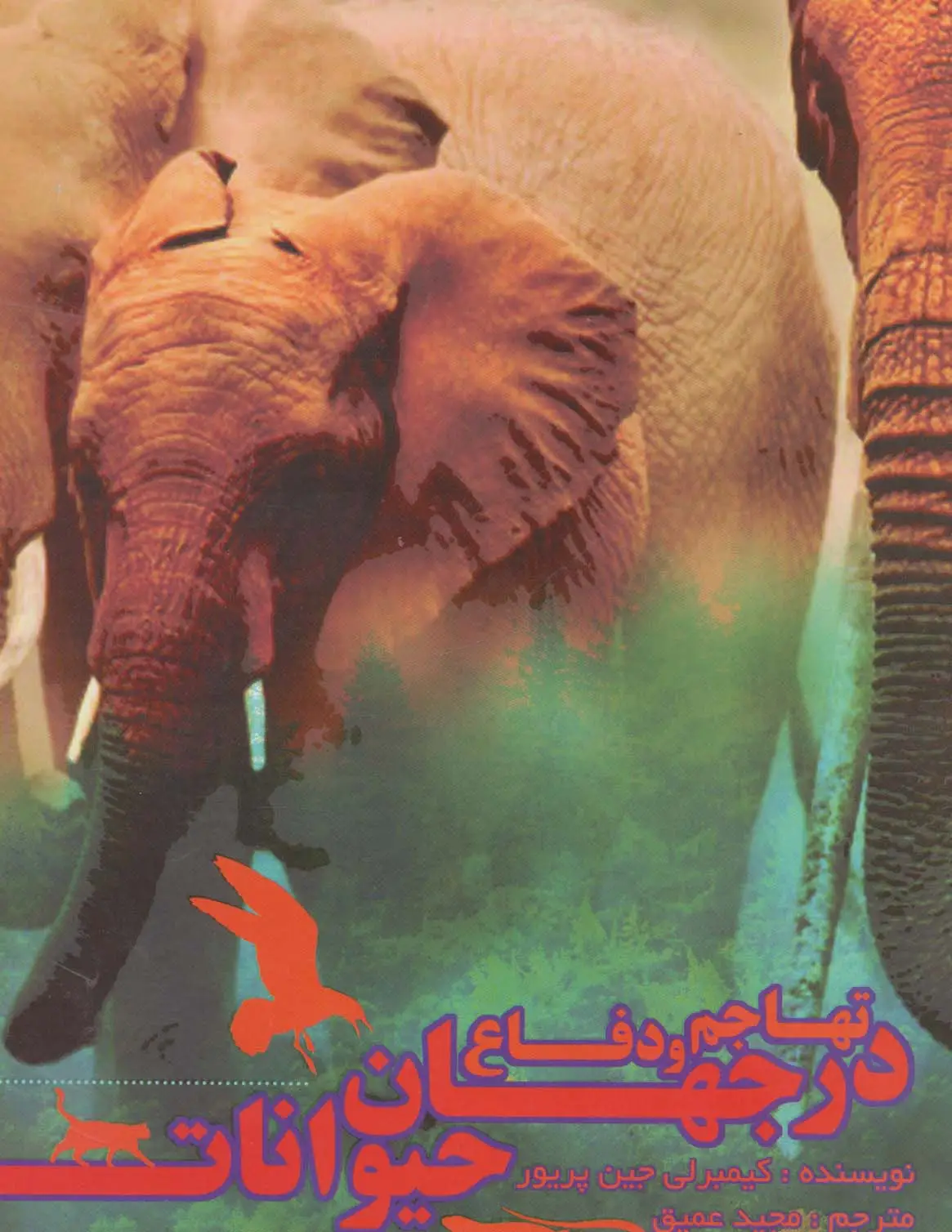 جلد کتاب تهاجم و دفاع در جهان حیوانات (گلاسه)