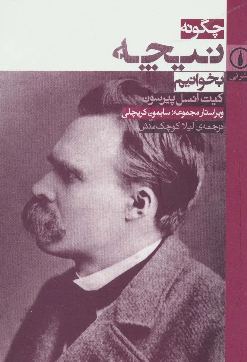 جلد کتاب چگونه نیچه بخوانیم