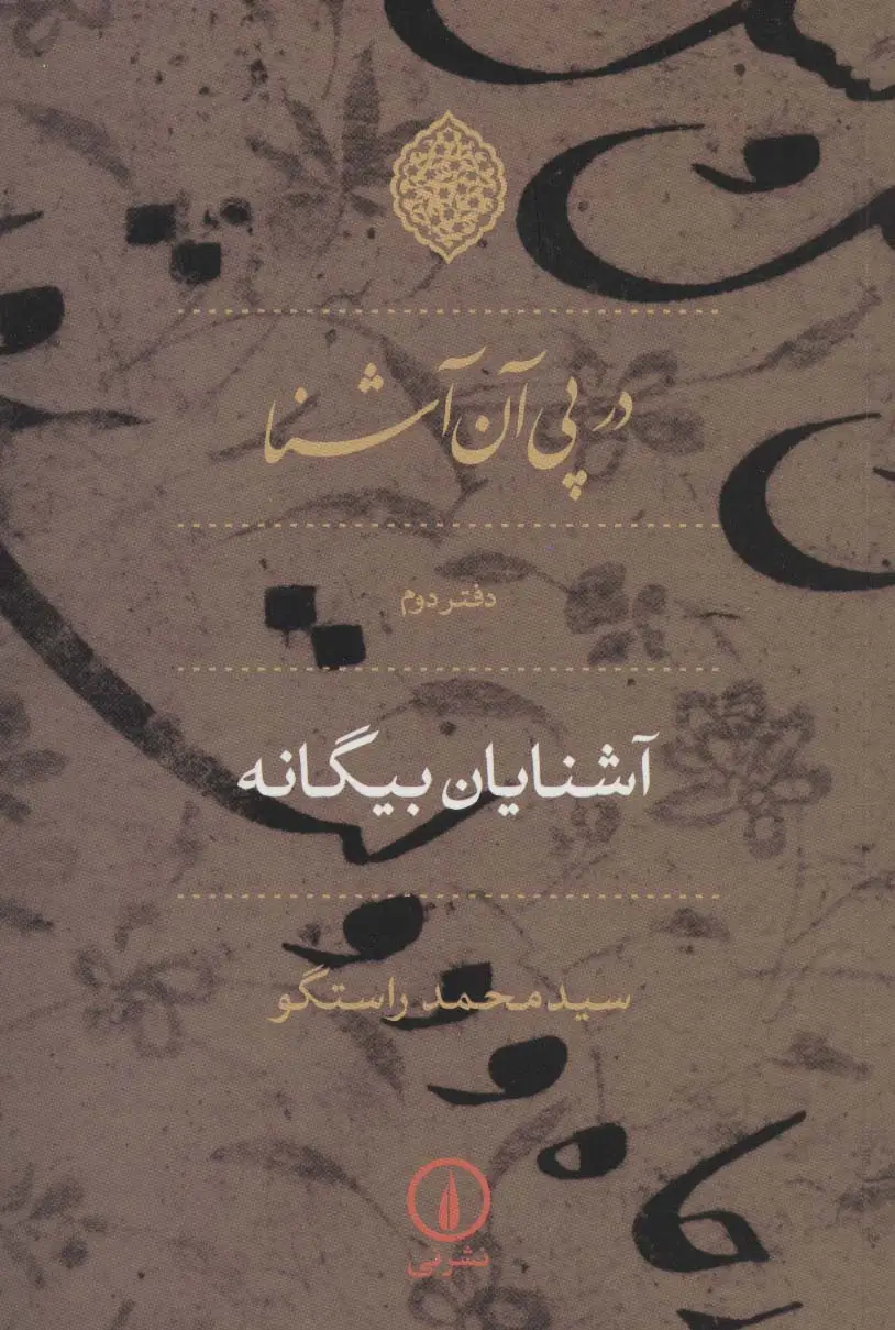 جلد کتاب در پی آن آشنا (دفتر دوم:آشنایان بیگانه)