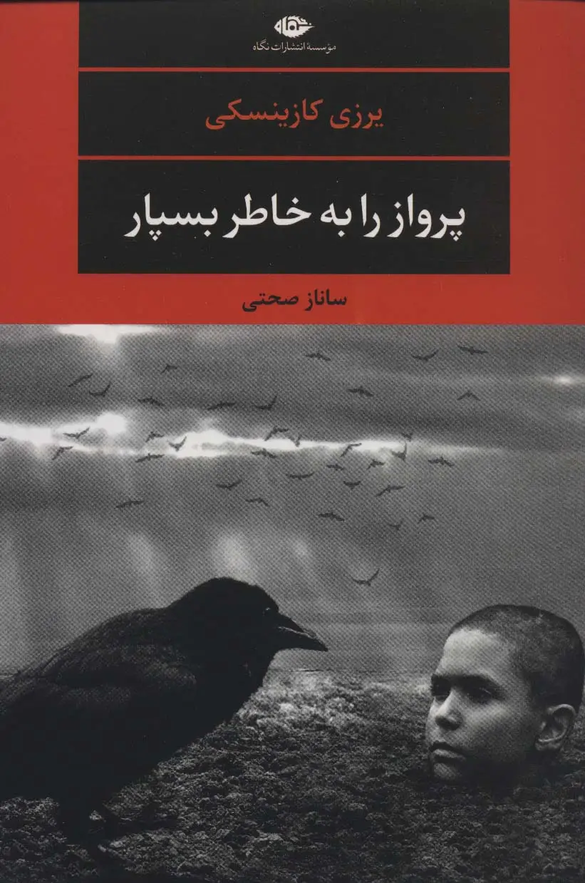 جلد کتاب پرواز را به خاطر بسپار (ادبیات مدرن جهان،چشم و چراغ123)