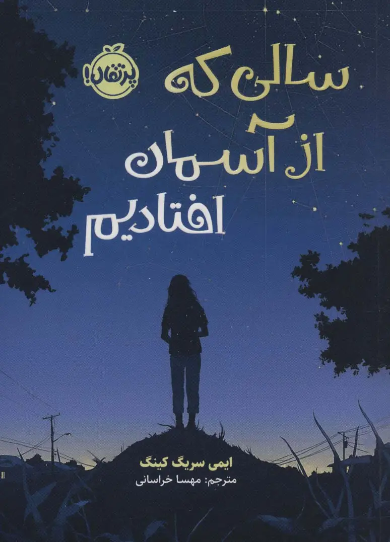 جلد کتاب سالی که از آسمان افتادیم