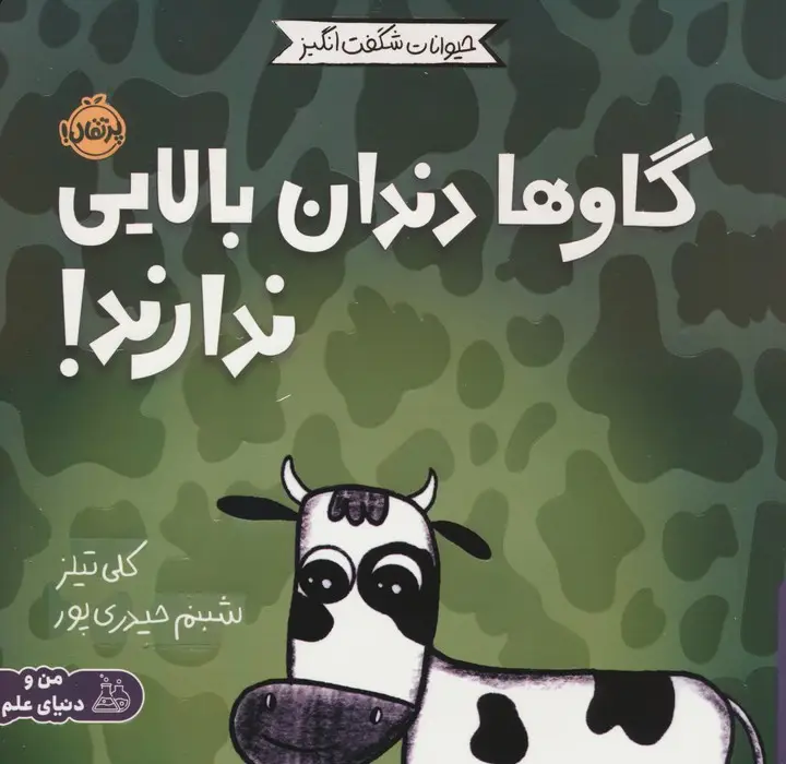 جلد کتاب حیوانات شگفت انگیز (گاوها دندان بالایی ندارند!)،(گلاسه)