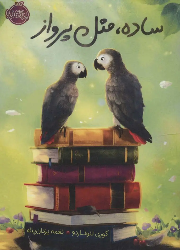 جلد کتاب ساده،مثل پرواز