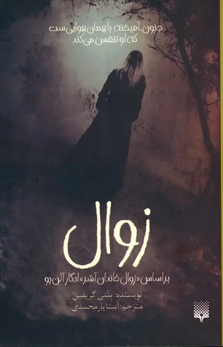 جلد کتاب زوال