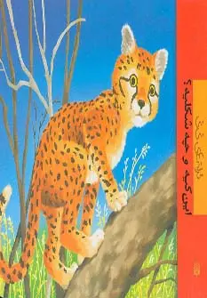 جلد کتاب ترانه های نی نی (این کیه و چه شکلیه؟)