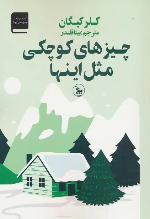جلد کتاب چیزهای کوچکی مثل اینها