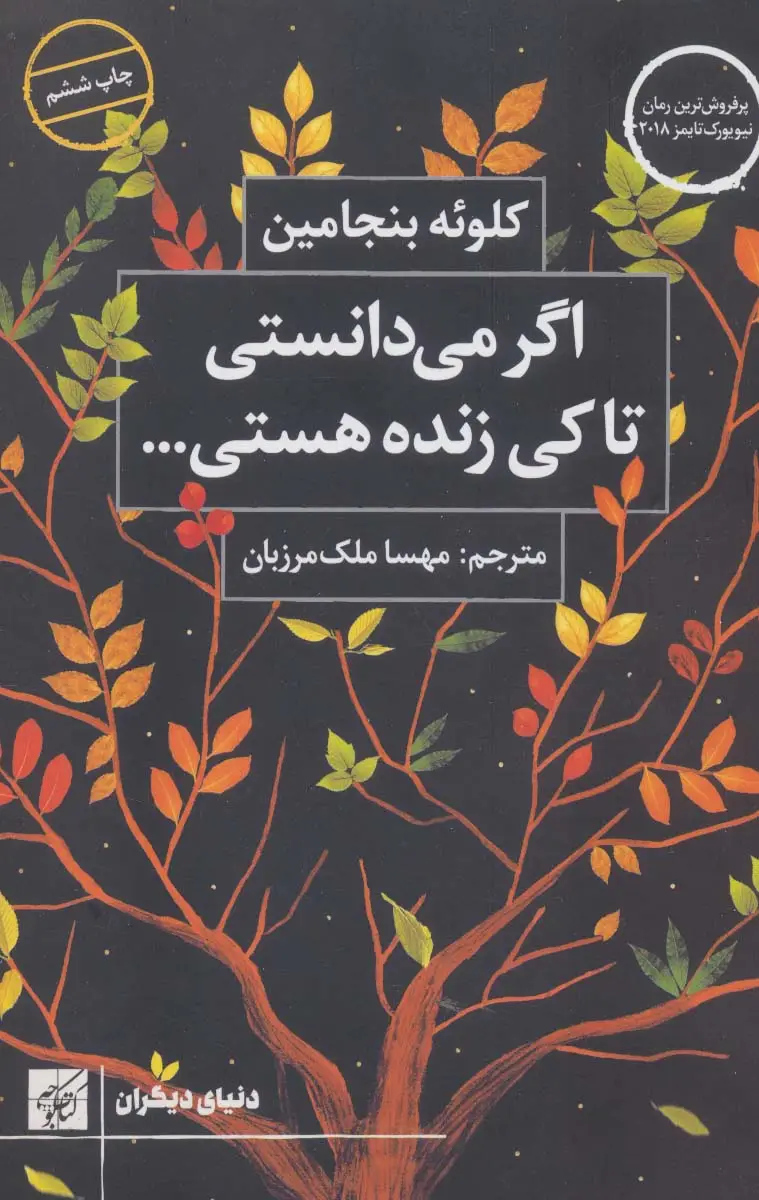 جلد کتاب اگر می دانستی تا کی زنده هستی... (دنیای دیگران)
