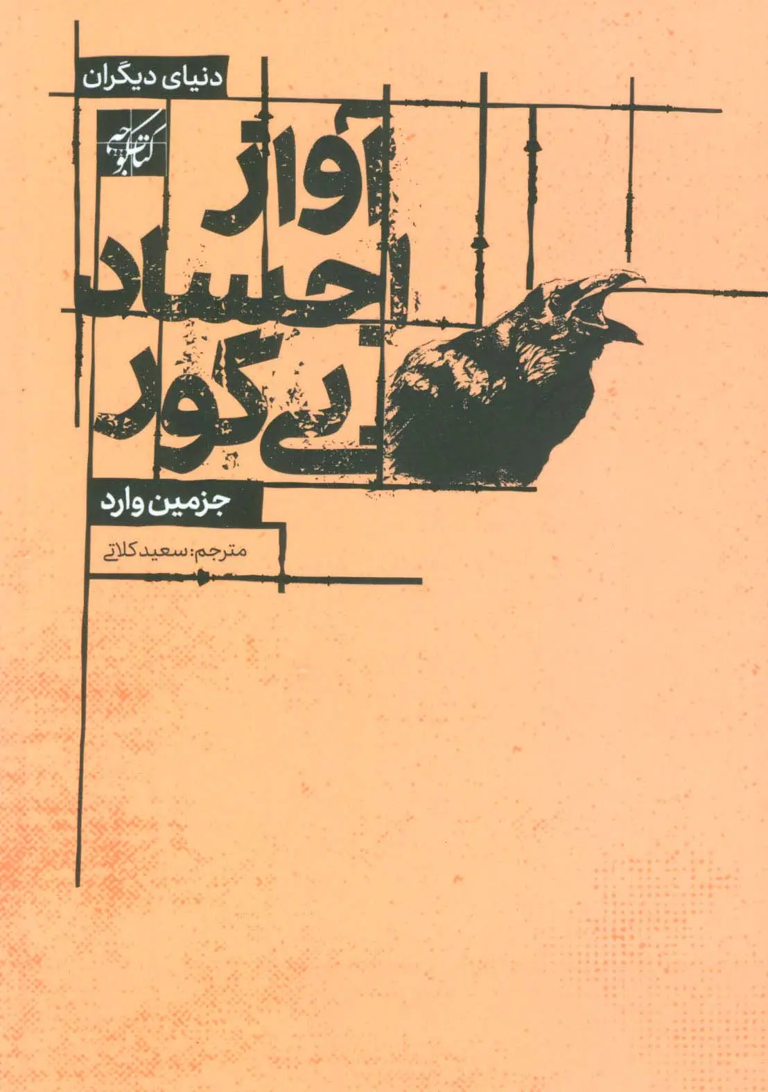 جلد کتاب آواز اجساد بی گور