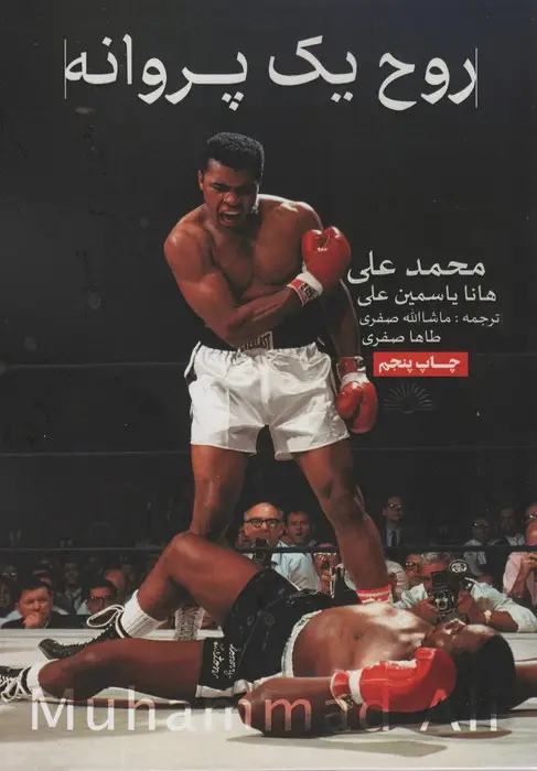 جلد کتاب روح یک پروانه