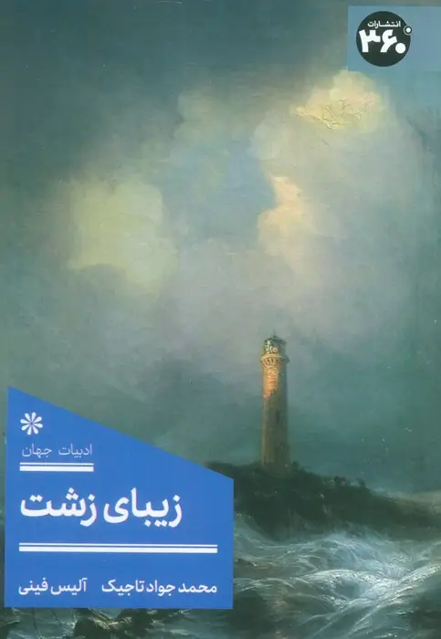 جلد کتاب زیبای زشت