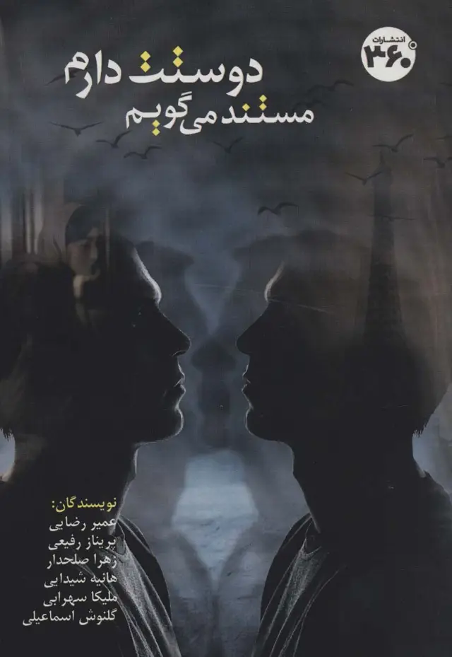 جلد کتاب مستند می گویم دوستت دارم