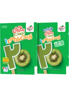 جلد کتاب باغ مخفی